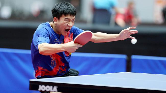 了强有力的 了强有力的