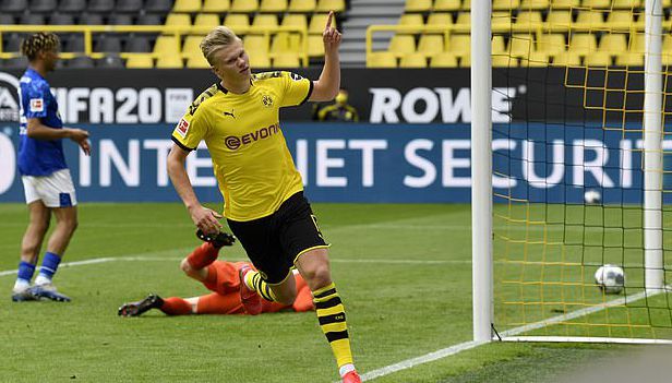 他们的努力 他们的努力