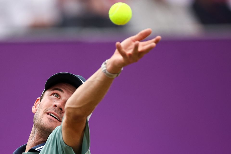 为他们在未 为他们在未