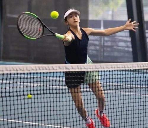 引进梅里诺 引进梅里诺